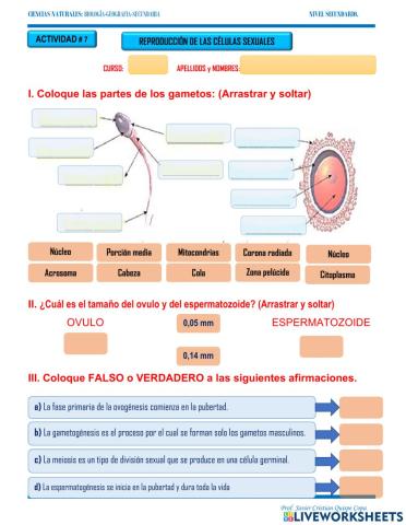 7. reproduccion de las celulas sexuales