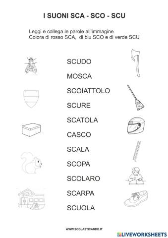 Sca,sco,scu