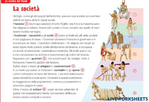 Semplificazione scheda