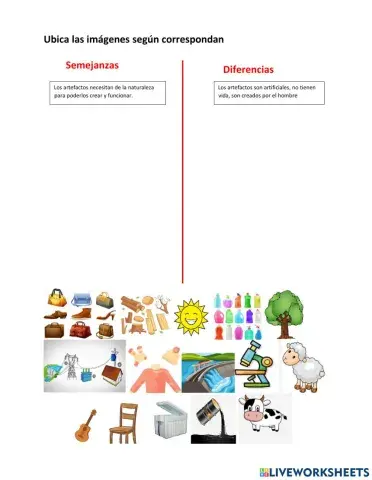 Semejanza y  diferencia entre elementos  naturales y artefactos