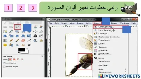 ألوان الصورة