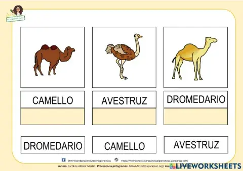 Hábitas: el desierto