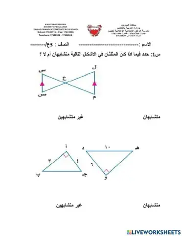 المثلثات المتشابهة