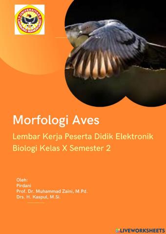 LKPD Morfologi Aves