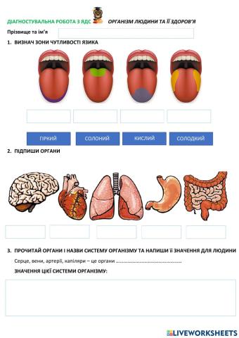 Діагностувальна робота з ядс