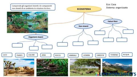 Gli ecosistemi