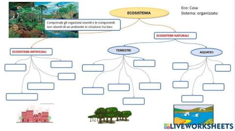 Ecosistemi 2