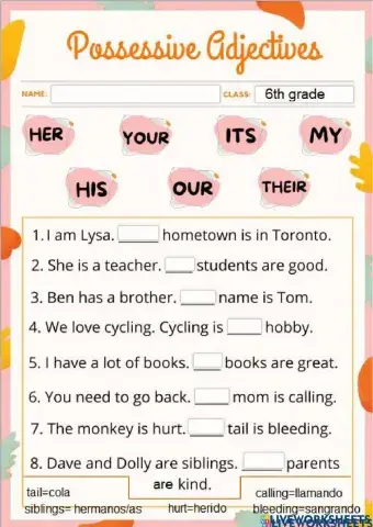 Possessive adjectives