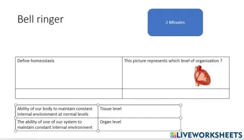 Homeostasis bell ringer