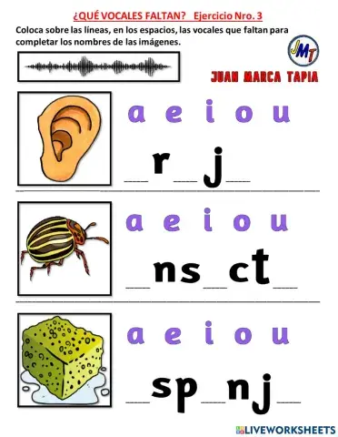 ¿QUÉ VOCALES FALTAN?   Ejercicio Nro. 3