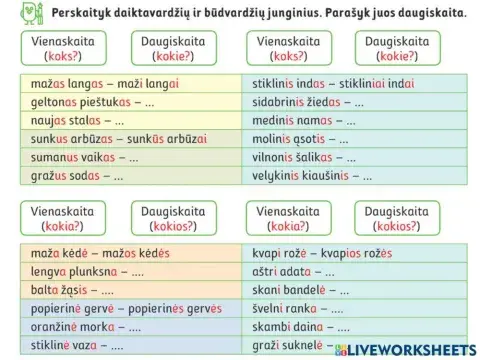 Kaip būdvardžiai derinami su daiktavardžiais?