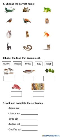 EN2-U5-Animals-food