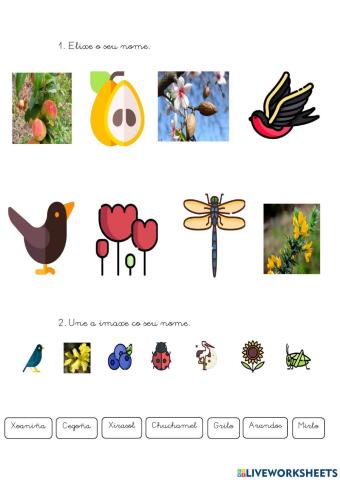 Vocabulario Primavera