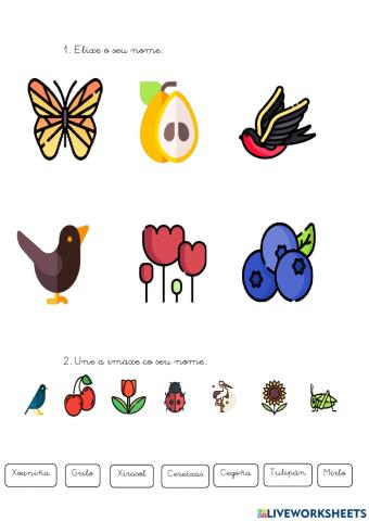 Vocabulario Primavera 2