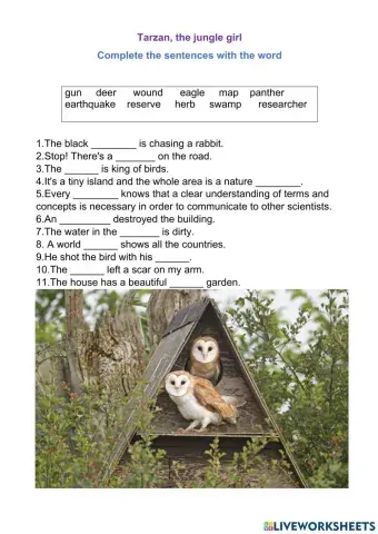 Tarzan,the jungle girl