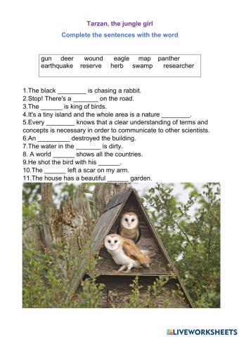 Tarzan,the jungle girl