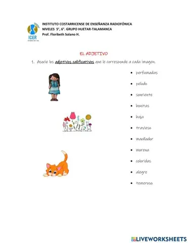 Clasificación del adjetivo