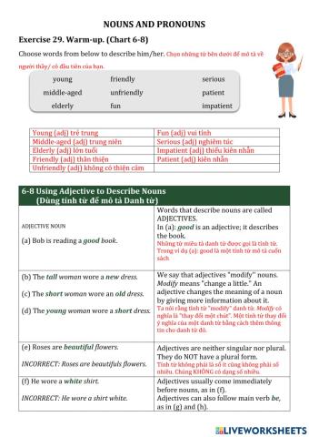 Nouns and pronouns 1