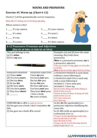 Nouns and pronouns 3