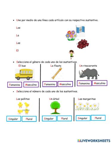 Artículo, género y número de sustantivos.