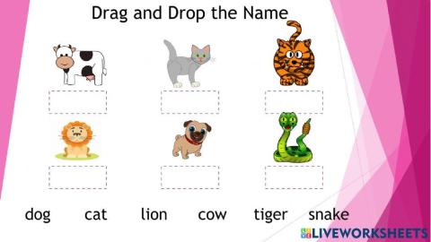 Animals Drag and Drop
