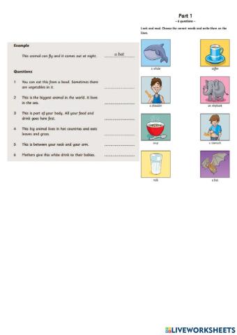 Movers - Reading and Writing Part 1