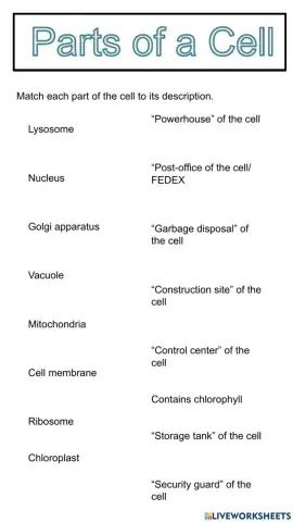 Cell Parts Match UP