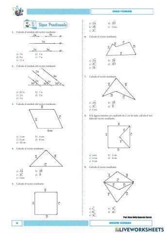 Magnitudes Vectoriales