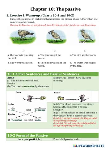 Chapter 10- part 1- fundamentals of english grammar