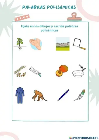 Palabras polisémicas