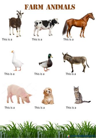 Farm animals