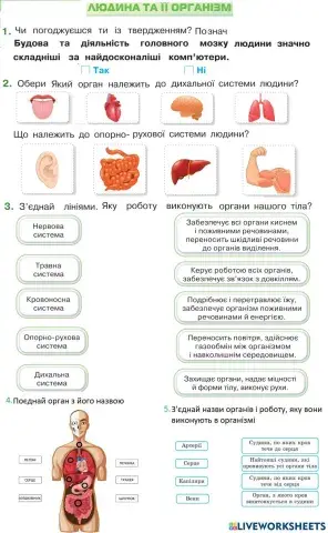 Організм людини