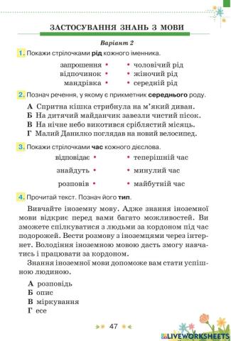 Застосування знань з мови (підсумкова за рік)