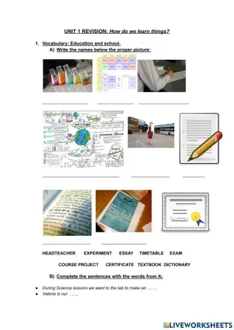 How do we learn things?