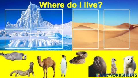 Where do I live? glaciers and desert 