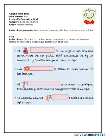 Evaluación de Bimestre 2-Ms y N