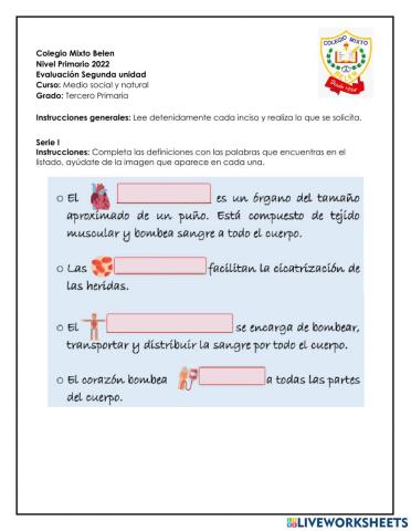 Evaluación de Bimestre 2-Ms y N
