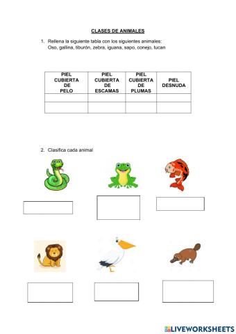 Clases de animales