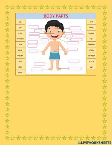 Body parts