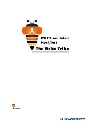 2021 Week 4 PAPER 2 MOCKPAPER p5-6 part 2