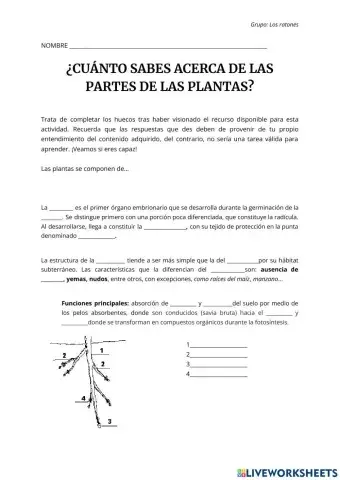 Partes de una planta