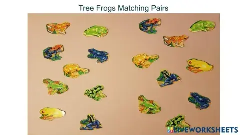 Tree Frogs Matching Pairs