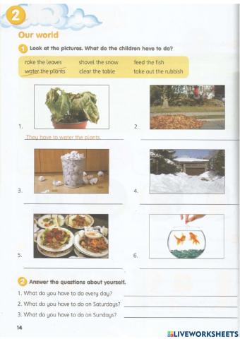 Y4 Unit 2 - Has To - Have To (3rd person)