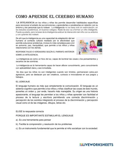 Como aprende el cerebro humano