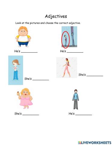 Adjectives: short, tall, thin, fat