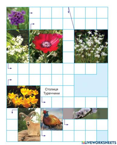 Сканворд (ІУ)