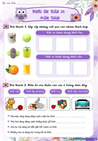 Phiếu ôn tập toán tuần 28