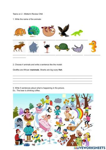 Teens on 2 Midterm Review