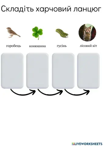 Харчовий ланцюг