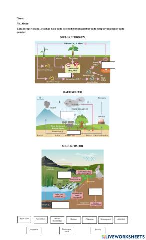 Siklus nitrogen, sulfur, dan fosfor